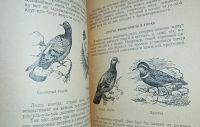 Лот: 24890279. Фото: 6. Охота на полевую, степную, пустынную...