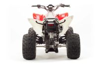 Лот: 16058113. Фото: 8. Квадроцикл Motoland ATV 250S