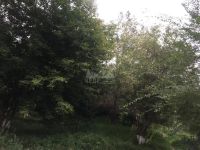 Лот: 14499153. Фото: 13. Продается 2-х комн. квартира 49...
