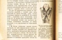 Лот: 18066906. Фото: 17. Дмитрий Николаевич Ушаков. Краткое...