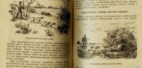 Лот: 16875347. Фото: 4. П.Ф. Пупышев. Охота с легавыми... Красноярск
