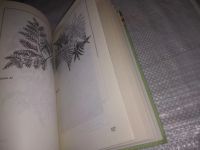 Лот: 21423196. Фото: 6. оз ...(1092369)Хворостухина С...