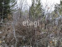 Лот: 25299291. Фото: 6. 1-комн. дача , садоводческое некоммерческое...