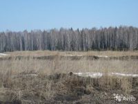 Лот: 13880275. Фото: 3. Участок 25 сот. (ИЖС) Устюг. Недвижимость