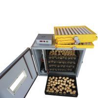 Лот: 17652105. Фото: 6. Инкубатор на 300 яиц автоматический...