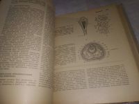 Лот: 19365901. Фото: 19. Вилли, Клод А. Биология ... изложение...