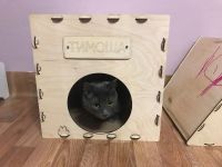 Лот: 19312959. Фото: 3. Домик. Растения и животные