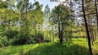 Лот: 25295123. Фото: 8. участок , СНТ Рось СНТ Рось, 57...