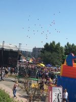 Лот: 4954225. Фото: 7. Настоящие минусинские помидоры...
