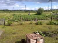 Лот: 6639753. Фото: 4. дача общество рябинушка. Красноярск