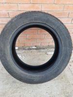 Лот: 17110392. Фото: 5. Шины Dunlop SP Sport Winter 3D