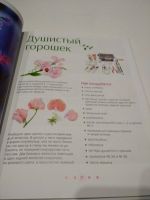 Лот: 17168252. Фото: 3. Книга Цветы из полимерной глины. Красноярск