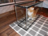 Лот: 5007279. Фото: 4. Аквариум литров 50. Красноярск