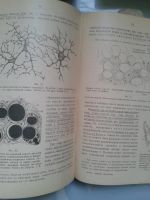 Лот: 15940216. Фото: 3. Учебник гистологии и микроскопической... Литература, книги