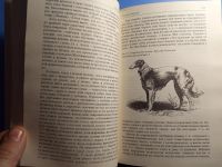 Лот: 20349603. Фото: 3. Сабанеев Собаки охотничьи Борзые... Литература, книги
