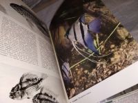 Лот: 14342125. Фото: 6. Иллюстрированная энциклопедия...