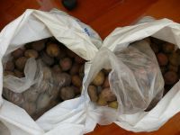 Лот: 6084062. Фото: 2. картофель 16 кг. с рубля. Продукты