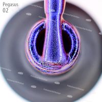 Лот: 7114186. Фото: 2. Магнитный гель-лак Meteorites... Маникюр и педикюр