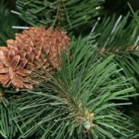 Лот: 3532984. Фото: 4. Искусственная Ель 200 см "Сказка... Красноярск