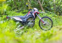 Лот: 25657645. Фото: 16. Мотоцикл LIFAN LF250GY-3 ТУРЭНДУРО