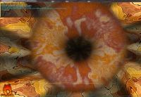 Лот: 7461248. Фото: 4. Palit 9800GTX+. Красноярск