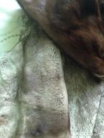 Лот: 4399376. Фото: 3. норковая шуба автоледи 46р. Одежда, обувь, галантерея