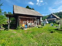 Лот: 25290036. Фото: 4. 1-комн. дача , СНТ Вишенка СНТ... Красноярск