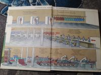 Лот: 25437887. Фото: 2. Мозговая Картушина Швейное дело... Учебники и методическая литература