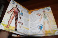 Лот: 11704958. Фото: 7. Книга Тело человека. Прозрачные...