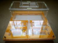 Лот: 11913791. Фото: 3. Формикарий. Растения и животные