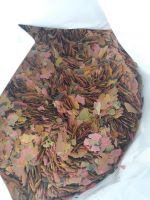 Лот: 20032258. Фото: 2. Корм для рыб Tetra Min Flakes... Аквариумистика