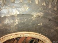 Лот: 9193652. Фото: 2. покрышка на МАЗ с диском. Шины, Диски