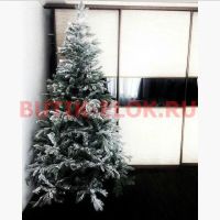 Лот: 4780401. Фото: 6. Ель зеленая комбинированная с...