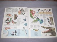 Лот: 15569240. Фото: 3. книга бу зоология птицы атлас... Литература, книги