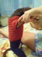 Лот: 2088434. Фото: 2. Вязанный комбинезон. Животные и уход