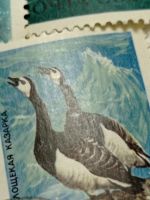 Лот: 19674138. Фото: 6. Марки СССР 1972 г. Фауна морей...