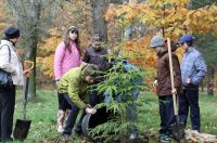 Лот: 7397798. Фото: 10. Родовое дерево. Первый красноярский...