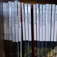 Лот: 17358490. Фото: 2. Сборник книг "Великие художники... Литература