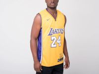 Лот: 16331339. Фото: 3. Джерси Nike Los Angeles Lakers... Одежда, обувь, галантерея