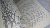 Лот: 8365565. Фото: 3. Лога, М.Голубков, Повесть посвящена... Литература, книги