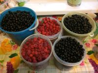 Лот: 11862373. Фото: 2. Ягода. Продукты