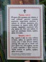Лот: 18520396. Фото: 7. Набор икон Серафима Саров.с частью...