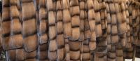 Лот: 9391465. Фото: 7. Шикарная шуба из собольей норки...