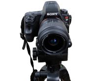 Лот: 11939892. Фото: 2. Sony Alpha SLT-A37 +аккумулятор... Фотокамеры