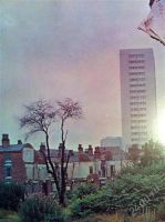 Лот: 880854. Фото: 2. LED ZEPPELIN IV LP ATLANTIC 1971... Коллекционирование, моделизм