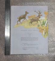 Лот: 21781343. Фото: 2. Э. Сетон-Томпсон. "Чинк". Перевод... Детям и родителям