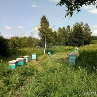 Лот: 18343915. Фото: 6. Ароматный мёд в подарок с ложечкой...
