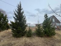 Лот: 25431483. Фото: 2. 2-комн. дача , садоводческое товарищество... Продажа