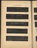 Лот: 956269. Фото: 3. Диссертация на степень доктора... Коллекционирование, моделизм