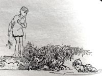 Лот: 21431181. Фото: 15. Иосиф Дик - В дебрях Кара-Бумбы...